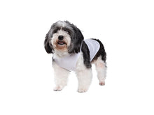ULTIMA |  Sublimation Pet Top Tank T-Shirt, White