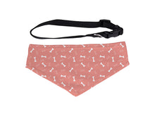 ULTIMA | Sublimation Pet Scarf w/ Collar