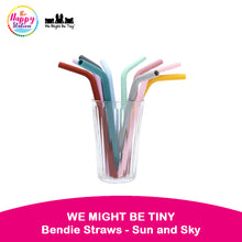 WE MIGHT BE TINY | Bendie Straws - Sun and Sky (Set of 5 plus Cleaning Brush)