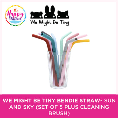 WE MIGHT BE TINY | Bendie Straws - Sun and Sky (Set of 5 plus Cleaning Brush)