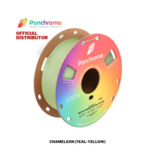 Polymaker Panchroma Dual Matte PLA Filament 1.75mm 1kg