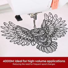 RICHWORD | Polyester Embroidery Thread, 108D/2, 40WT - 4000M