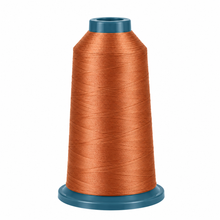 RICHWORD | Polyester Embroidery Thread, 108D/2, 40WT - 4000M