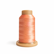 RICHWORD | Polyester Embroidery Thread, 108D/2, 40WT - 800M