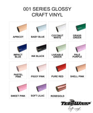 Teckwrap 001 Series Glossy Craft Vinyl Sticker